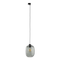Suspension filaire pour système de rail triphasé ELIO 1xE27/15W/230V noir/fumé noir