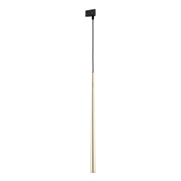 Suspension filaire pour système de rail triphasé PIANO 1xG9/8W/230V doré/noir