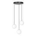 Suspension filaire ROYAL 3xE14/10W/230V d. 30 cm noir