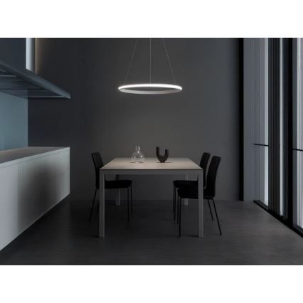 Suspension LED dimmable sur câble LED/55W/230V 3000-6500K Ø 60 cm + télécommande
