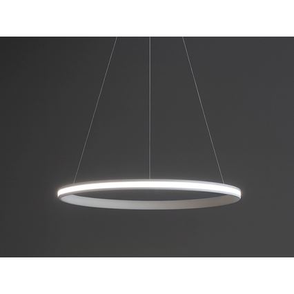 Suspension LED dimmable sur câble LED/55W/230V 3000-6500K Ø 60 cm + télécommande