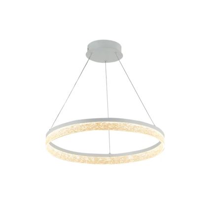 Suspension LED dimmable sur câble ALIANZ LED/45W/230V 3000-6000K Ø 60 cm + télécommande