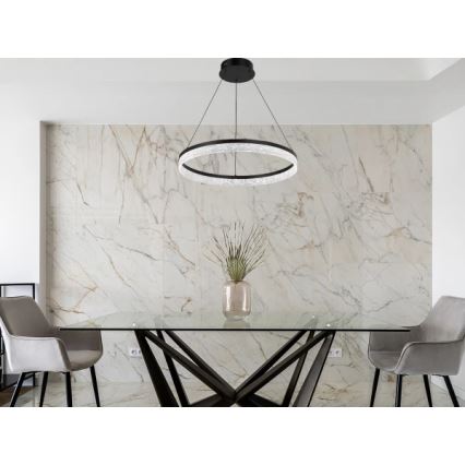 Suspension LED dimmable sur câble ALIANZ LED/60W/230V 3000-6000K Ø 80 cm + télécommande