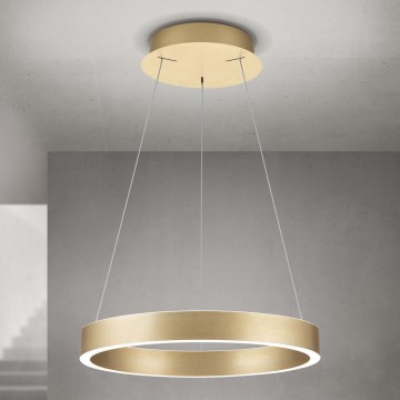 Suspension LED dimmable sur câble KOLK LED/40W/230V 2700/3000/4000K Ø 40 cm dorée