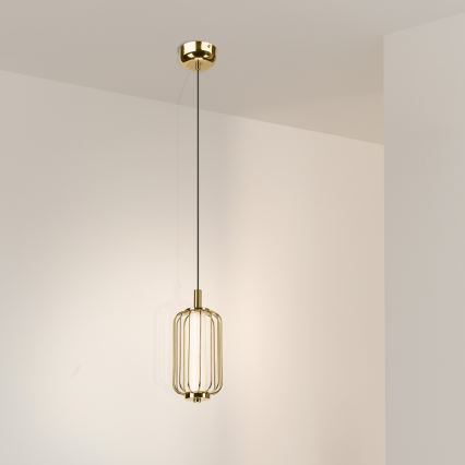 Suspension LED sur câble BONNIE LED/10W/230V 3000K dorée