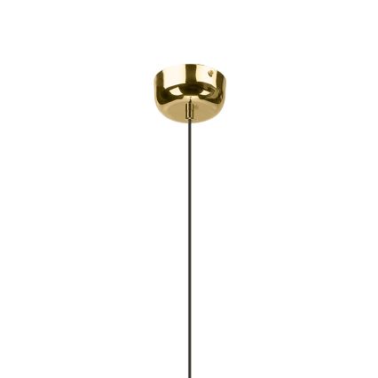 Suspension LED sur câble BONNIE LED/10W/230V 3000K dorée