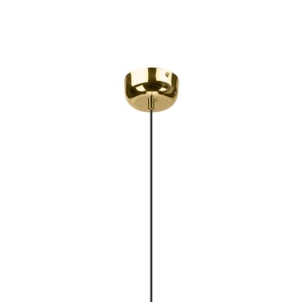 Suspension LED sur câble BONNIE LED/15W/230V 3000K dorée