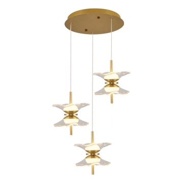 Suspension LED sur câble BUTTERFLY 6xLED/5W/230V 3000K dorée