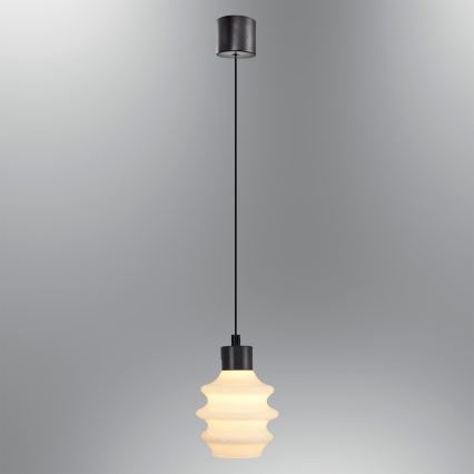 Suspension LED sur câble CACTUS LED/3W/230V 3000K noir/blanc