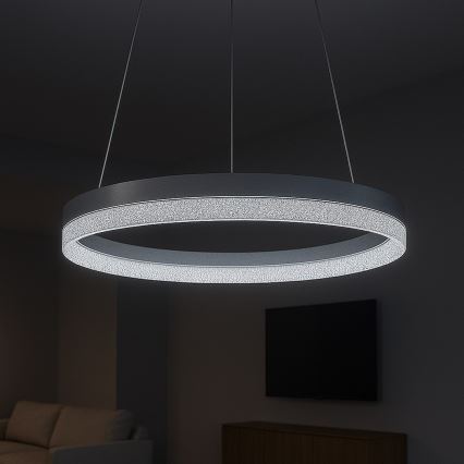 Suspension LED sur câble GALA LED/25W/230V Ø 50 cm, argentée