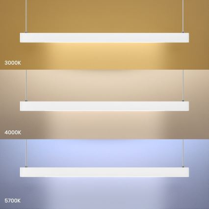 Suspension LED sur câble LINEA LED/36W/230V 3000/4000/5700K CRI 90 blanc