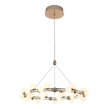 Suspension LED sur câble MARS LED/50W/230V 3000K dorée