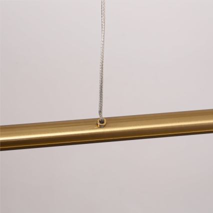 Suspension LED sur câble MELECA LED/36W/230V 3000/4000/6000K 160 cm dorée