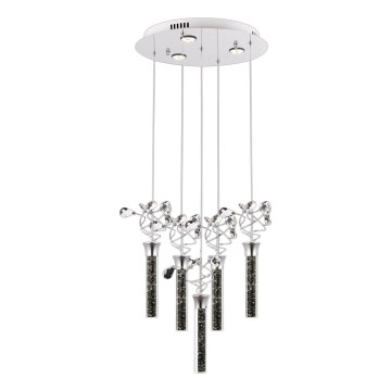 Suspension LED sur câble PIGEON 5xLED/6W/230V 6500K chrome brillant