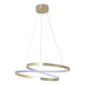 Suspension LED sur câble ZEFIRA LED/40W/230V 4000K Ø 50 cm dorée