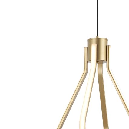 Suspension LED sur câble ZING LED/19W/230V dorée