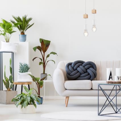 Suspension sur câble ORAZIO 1xE27/60W/230V hêtre