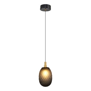 Suspension sur câble CACTUS 1xG9/5W/230V noire