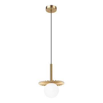 Suspension sur câble CHITA 1xG9/5W/230V dorée