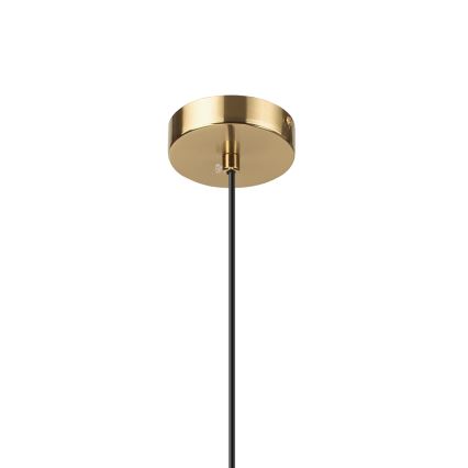 Suspension sur câble CHITA 1xG9/5W/230V dorée