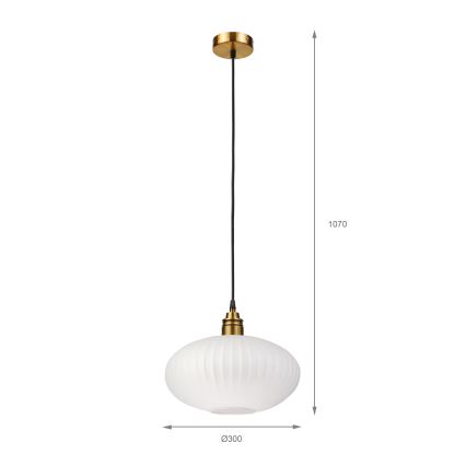 Suspension sur câble HECTOR 1xE27/15W/230V blanc/laiton diam. 30 cm