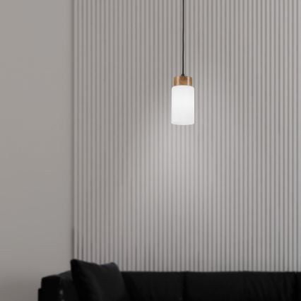 Suspension sur câble MARKUS 1xE27/15W/230V noir/chêne