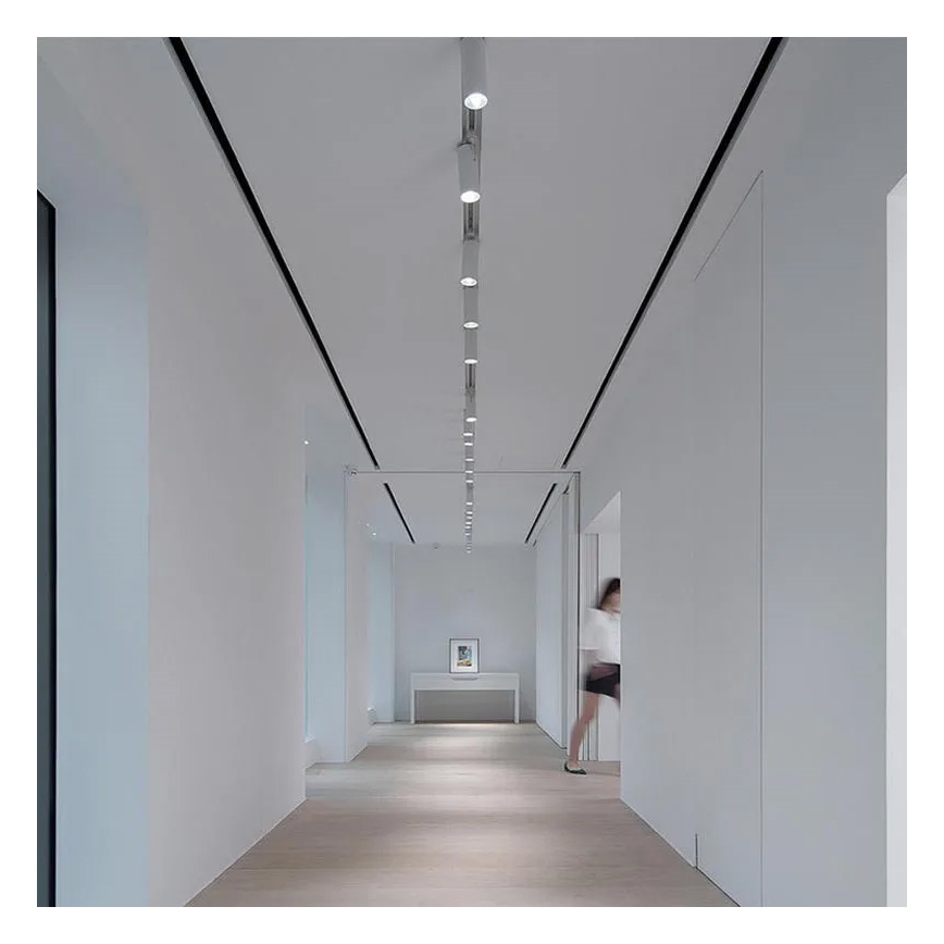 Système sur rail monophasé 1 m blanc