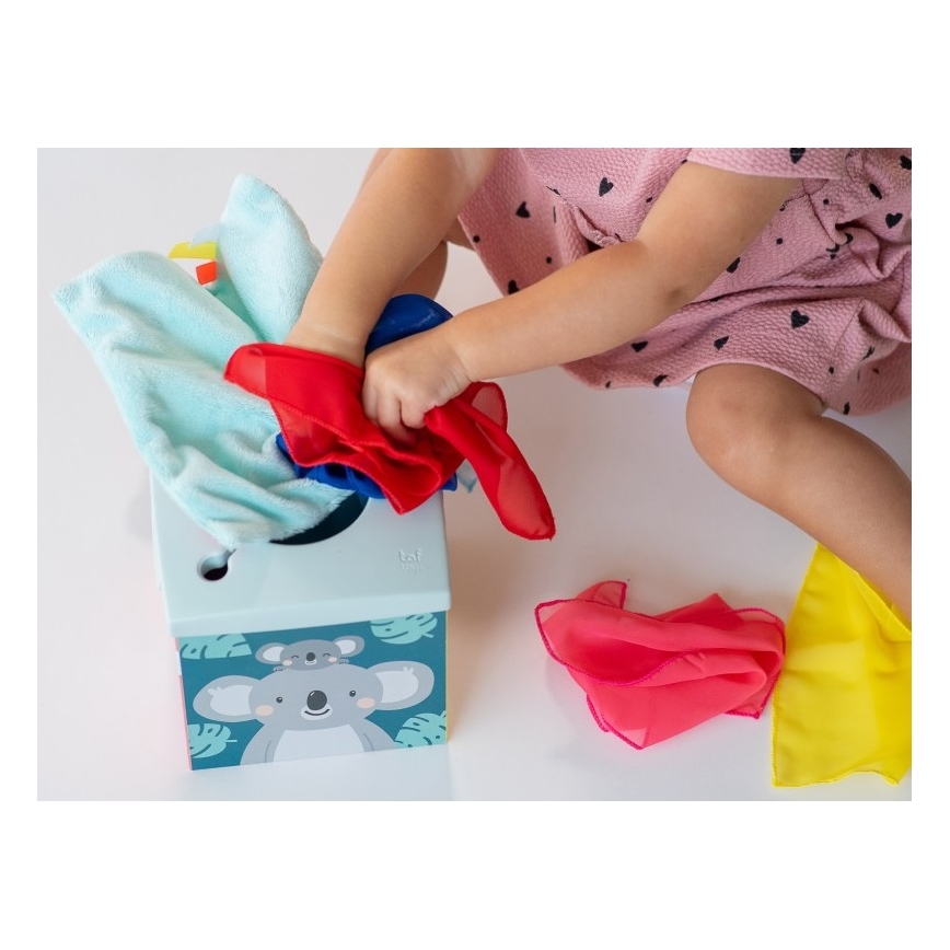 Taf Toys - Scatola con fazzoletti KIMMI koala