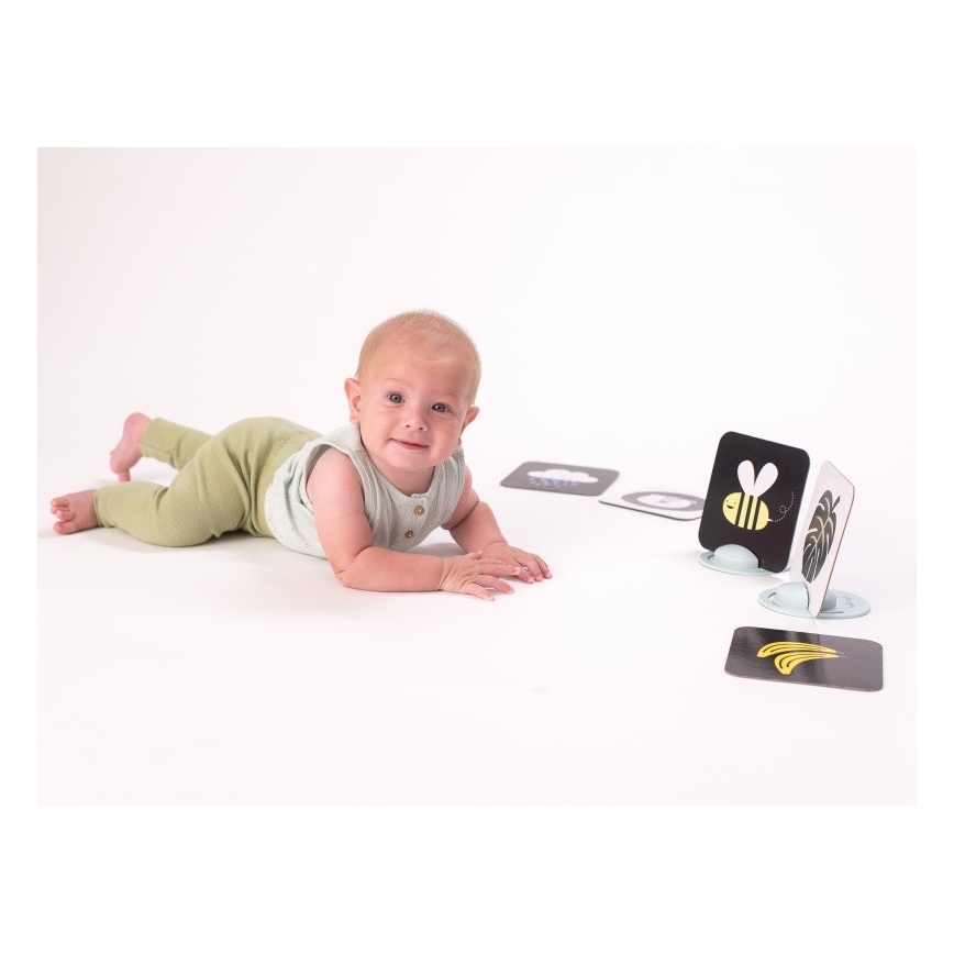 Taf Toys - Carte per il tempo del pancino 18 pz.