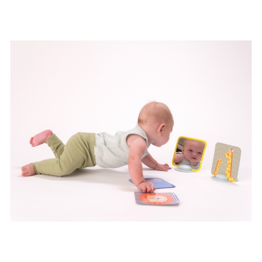 Taf Toys - Carte per il tempo del pancino 18 pz.