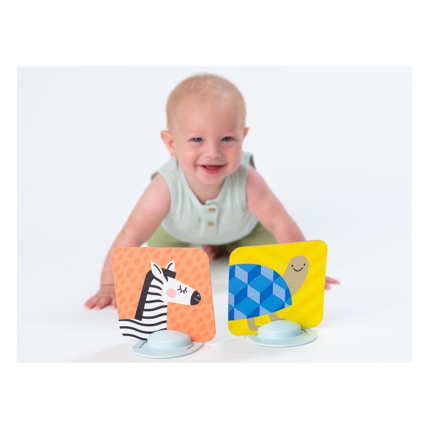 Taf Toys - Cartes Tummy Time 18 pcs