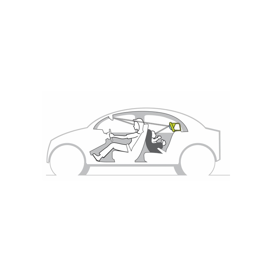 Taf Toys - Centro giochi Koala in auto