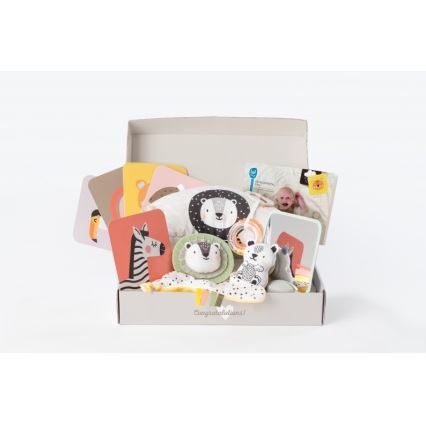 Taf Toys - Confezione regalo HELLO BABY