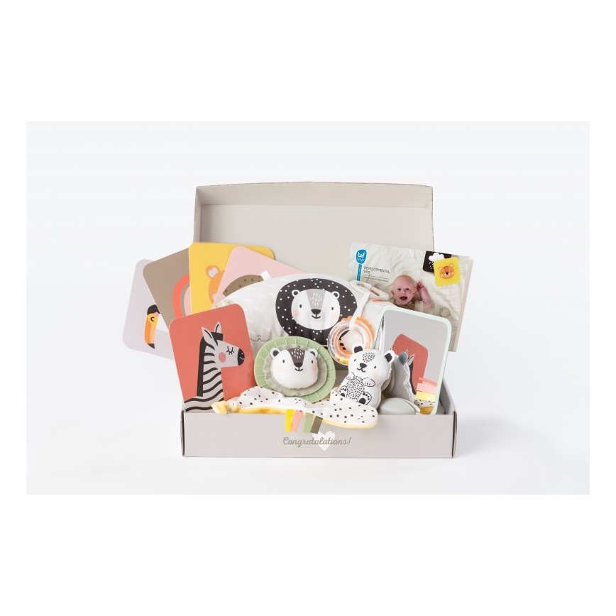 Taf Toys - Confezione regalo HELLO BABY