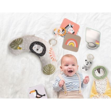 Taf Toys - Confezione regalo HELLO BABY