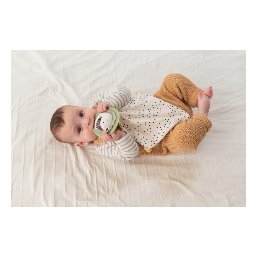 Taf Toys - Confezione regalo HELLO BABY