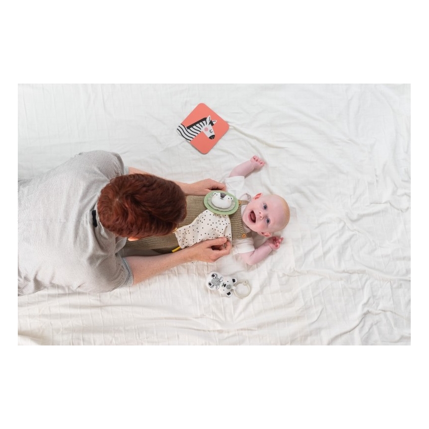 Taf Toys - Confezione regalo HELLO BABY