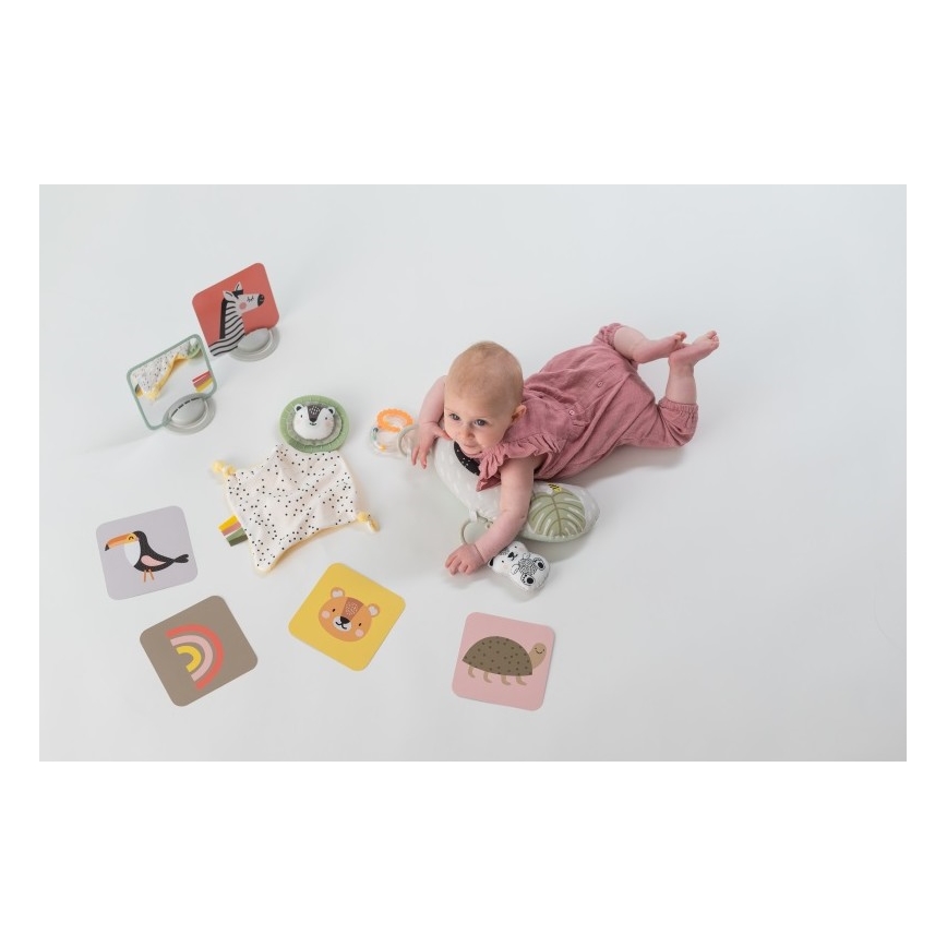 Taf Toys - Confezione regalo HELLO BABY