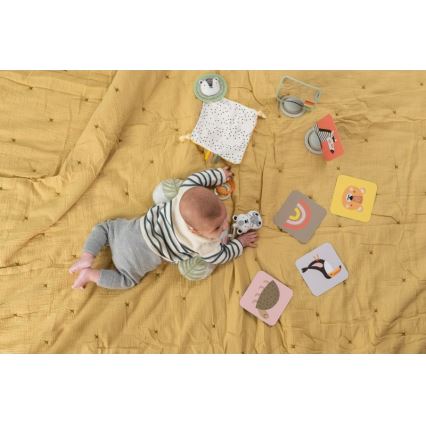 Taf Toys - Confezione regalo HELLO BABY
