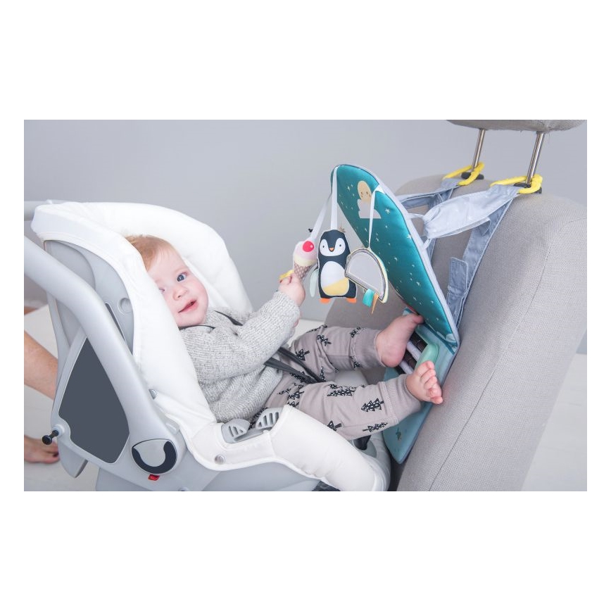 Taf Toys - Giocattolo auto divertente con piedi al polo nord