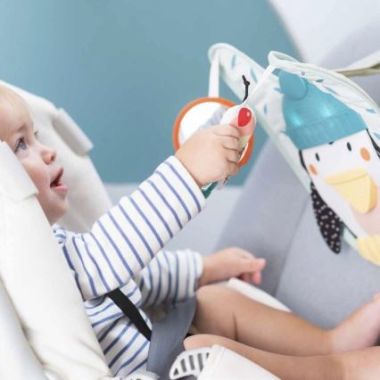 Taf Toys - Giocattolo auto Play & Kick pinguino 3xAA