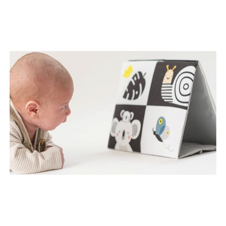 Taf Toys - Libro tessile per bambini con specchio nero