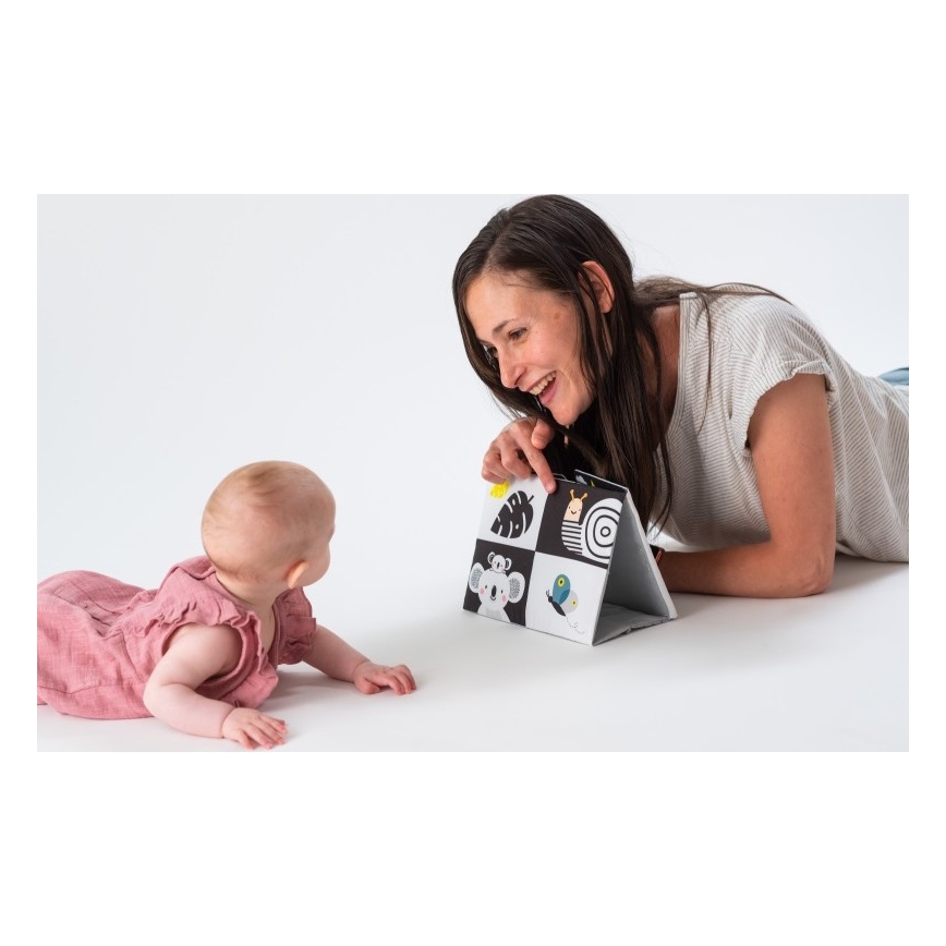 Taf Toys - Livre textile pour enfant avec miroir noir