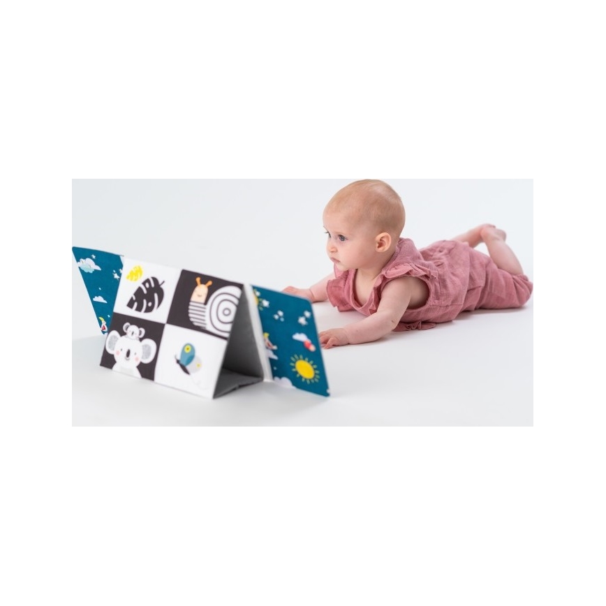 Taf Toys - Livre textile pour enfant avec miroir noir