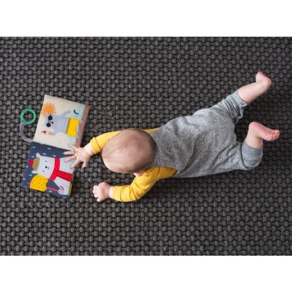 Taf Toys - Orso libro in tessuto per bambini