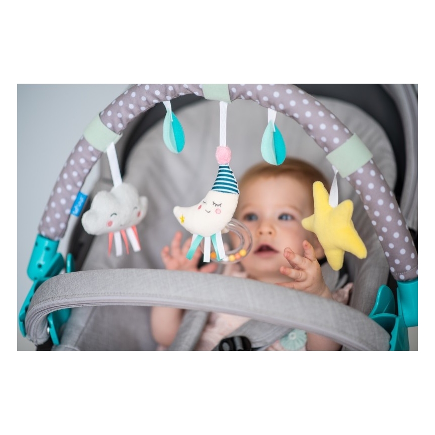 Taf Toys - Passeggino arco luna