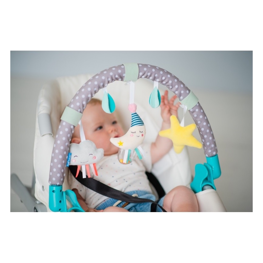 Taf Toys - Passeggino arco luna