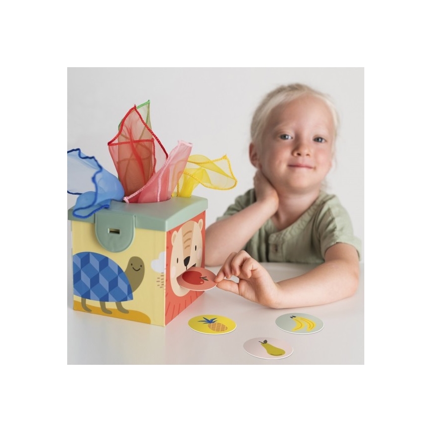 Taf Toys - Scatola interattiva MAGIC BOX
