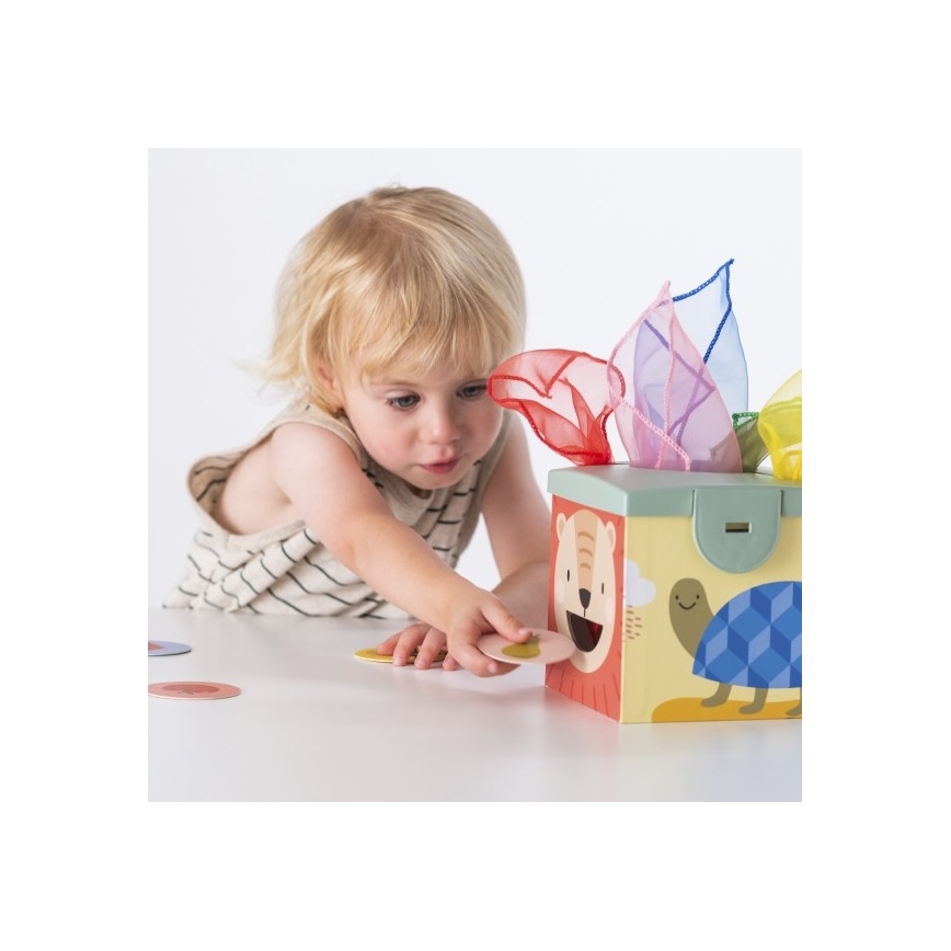 Taf Toys - Scatola interattiva MAGIC BOX