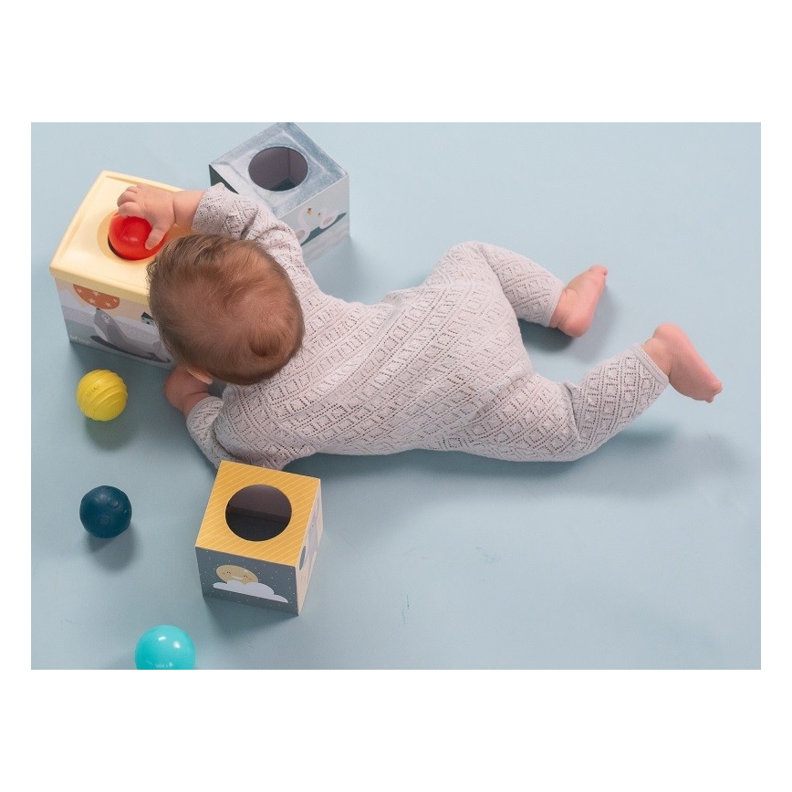Taf Toys - Set di giochi interattivi Polo Nord